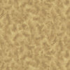Image of the Color Dance Color Dance Blender quilting cotton fabric by QT Fabrics. Features abstract streaks on a beige background. Cute Little Fabric Shop