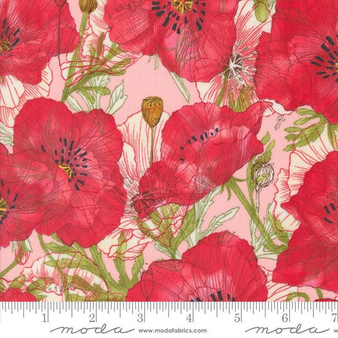 Superbloom Poppy Carnation quilting cotton fabrics by Robin Pickens for Moda Fabrics. Features flowers on a coral background. Cute Little Fabric Shop
