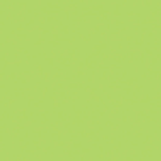 SALE Wasabi Confetti Cottons C120 - Riley Blake Designs - Solid - Quilting Cotton Fabric