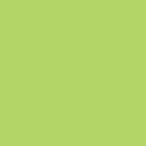 SALE Wasabi Confetti Cottons C120 by Riley Blake Designs - Solid - Quilting Cotton Fabric