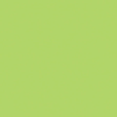 SALE Wasabi Confetti Cottons C120 by Riley Blake Designs - Solid - Quilting Cotton Fabric