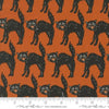 Image of the Home Sweet Haunt Black Cat Rust quilting cotton fabric by Moda Fabrics. Features scats on an orange background. Cute Little Fabric Shop