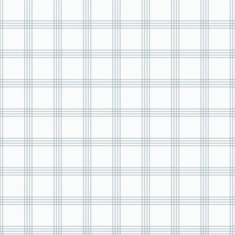 FLANNEL Till the Cows Come Home Plaid F16112 Cloud - Riley Blake Designs - Plaid Lines Stripe - FLANNEL Cotton Fabric