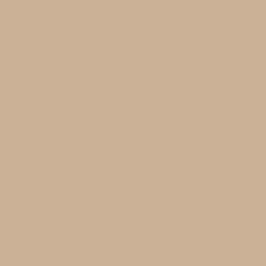 SALE Cappuccino Confetti Cottons - Riley Blake Designs - Solid - Cotton Woven Quilt Fabric