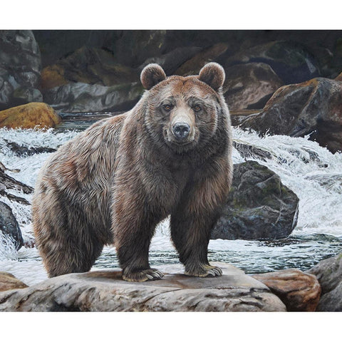 SALE Majestic in Nature No Fish Today Panel PD15984 - Riley Blake Designs - DIGITALLY PRINTED - Brown Bear Water - Quilting Cotton Fabric