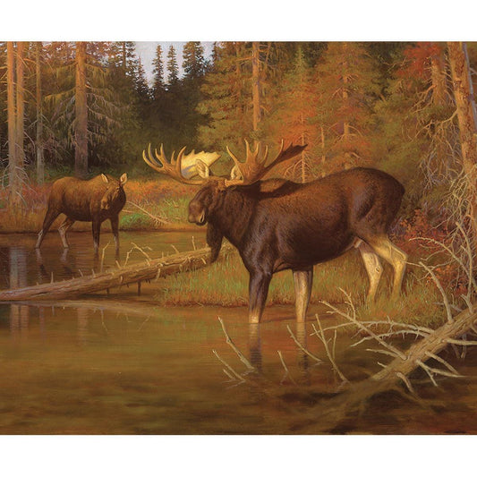DEAL Majestic in Nature Intruder Panel PD15982 - Riley Blake Designs - DIGITALLY PRINTED - Moose Water Forest - Quilting Cotton Fabric