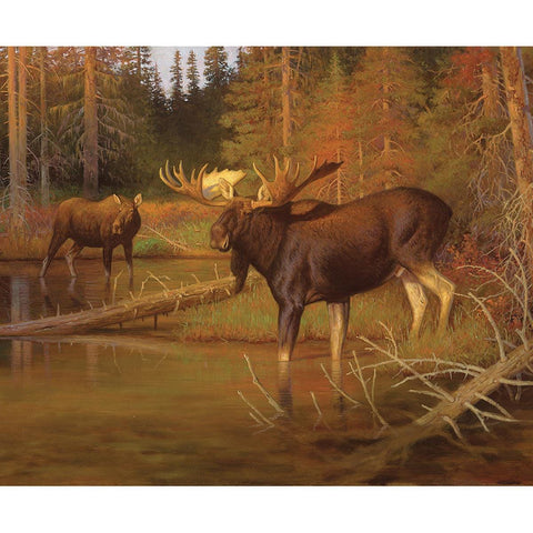 SALE Majestic in Nature Intruder Panel PD15982 - Riley Blake Designs - DIGITALLY PRINTED - Moose Water Forest - Quilting Cotton Fabric