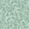 Image of the Color Dance Color Dance Blender quilting cotton fabric by QT Fabrics. Features abstract streaks on a green background. Cute Little Fabric Shop