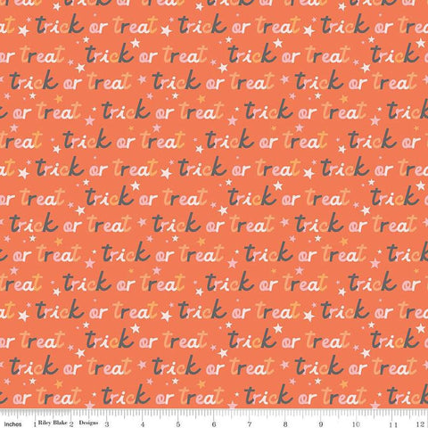 Image of the Hey Pumpkin Trick or Treat Orange quilting cotton fabric by Riley Blake Designs. Features text on an orange background. Cute Little Fabric Shop