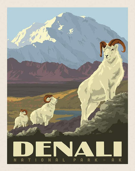 SALE Alaska Denali National Park Panel - Riley Blake Designs - DIGITALLY PRINTED - Wildlife - Quilting Cotton Fabric - Licensed Product