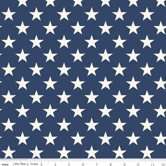 3-Yard cut- DEAL Freedom Garden Stars WIDEBACK WB15629 Blue - Riley Blake - 108" - Quilting Cotton Fabric