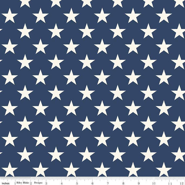 2 yard 29 inch End of Bolt - SALE Freedom Garden Stars WIDE BACK WB15629 Blue - Riley Blake - 107/108" Wide - Quilting Cotton Fabric