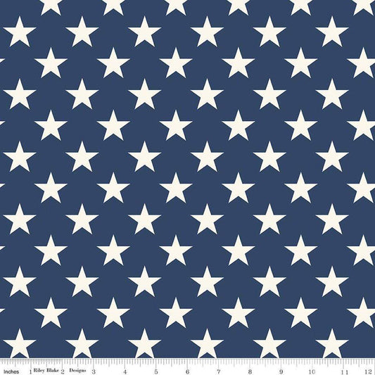 3-Yard cut- SALE Freedom Garden Stars WIDEBACK WB15629 Blue - Riley Blake - 108" - Quilting Cotton Fabric