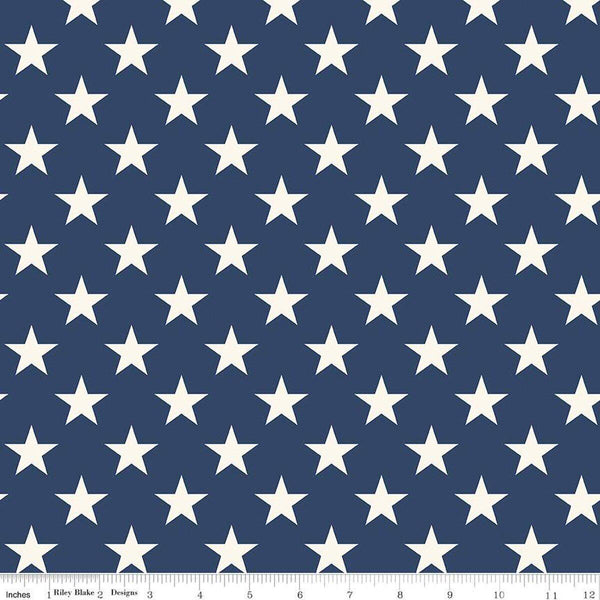 2 yard 29 inch End of Bolt - SALE Freedom Garden Stars WIDE BACK WB15629 Blue - Riley Blake - 107/108" Wide - Quilting Cotton Fabric