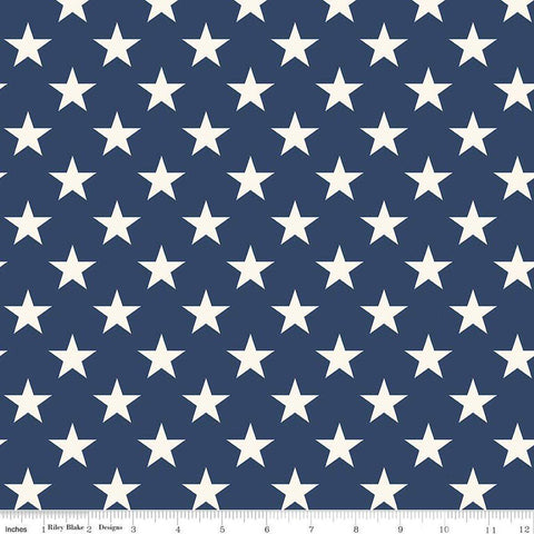 2 yard 29 inch End of Bolt - SALE Freedom Garden Stars WIDE BACK WB15629 Blue - Riley Blake - 107/108" Wide - Quilting Cotton Fabric