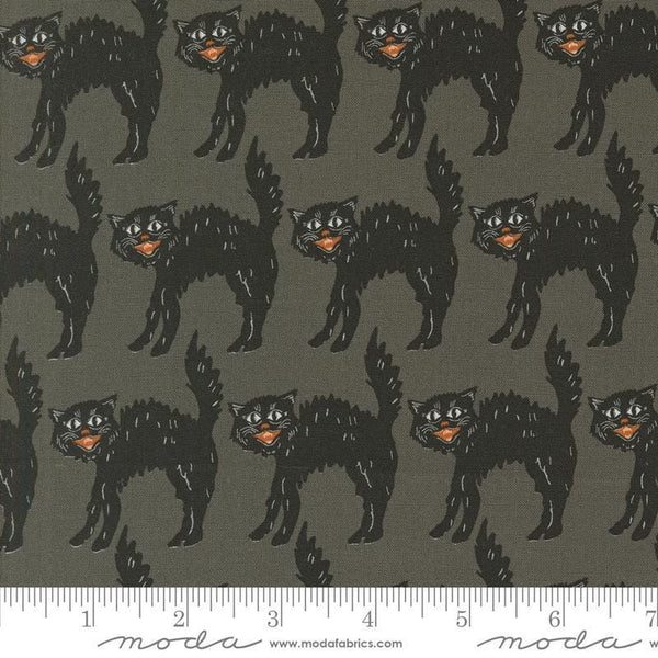 Image of the Home Sweet Haunt Black Cat Stone quilting cotton fabric by Moda Fabrics. Features ghosts on a black background. Cute Little Fabric Shop