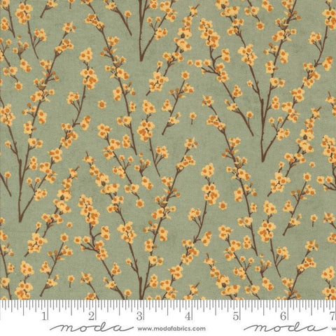 Image of the Acorn Hollow Twiggy Sage quilting cotton fabric by Moda Fabrics. Features flowers on a green background. Cute Little Fabric Shop