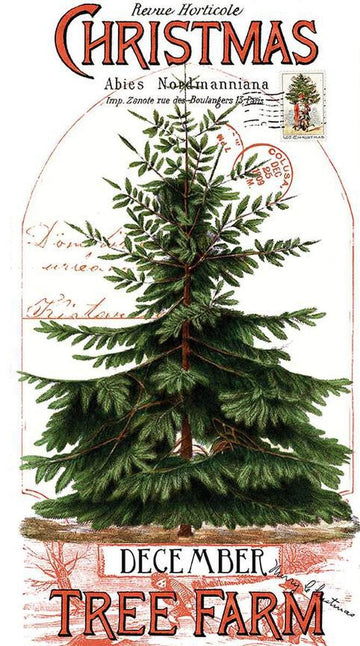 Classic Christmas Christmas Botanical Main Panel PD16280 - Riley Blake - DIGITALLY PRINTED - Tree - Quilting Cotton Fabric