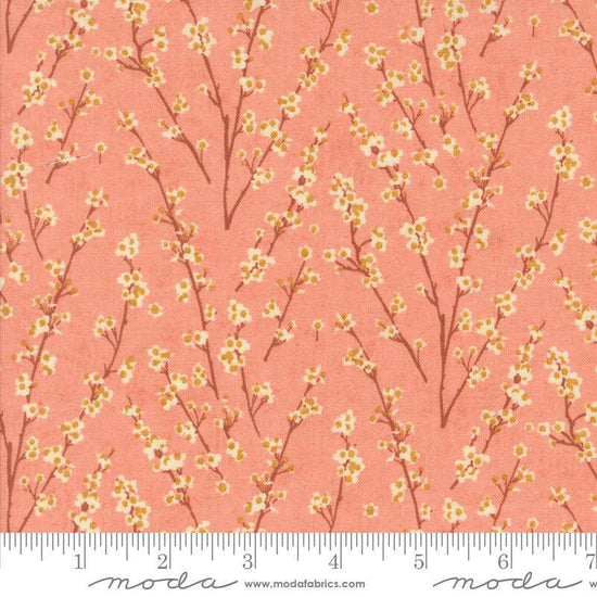 Image of the Acorn Hollow Twiggy Apple quilting cotton fabric by Moda Fabrics. Features flowers on a cream background. Cute Little Fabric Shop
