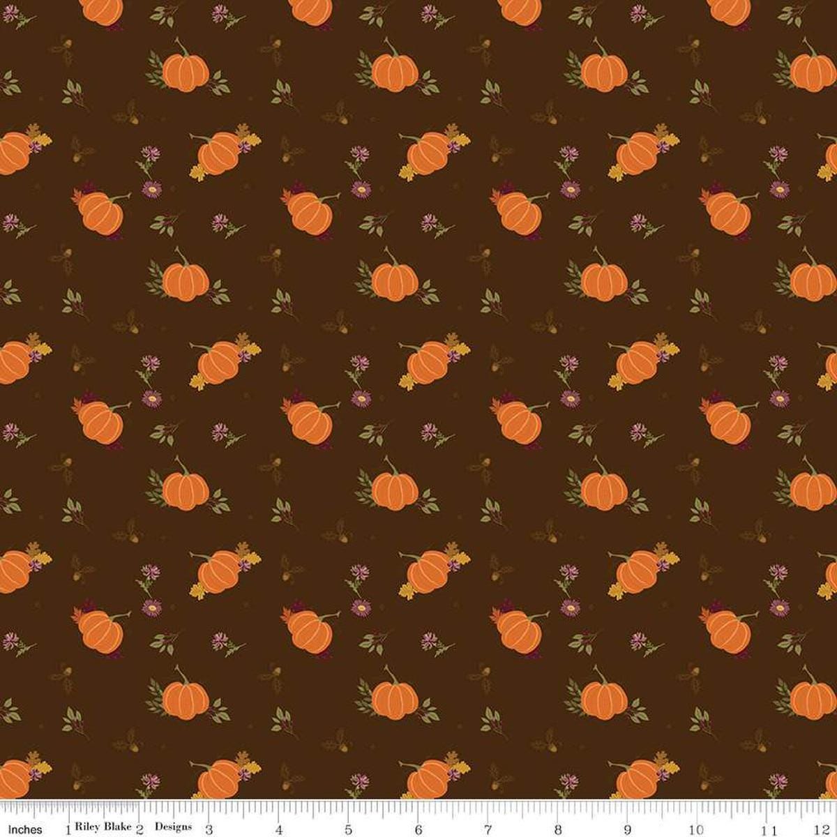 Image of the Awe of Autumn Pumpkins Brown quilting cotton fabric by Riley Blake Designs. Features pumpkins on a brown background. Cute Little Fabric Shop