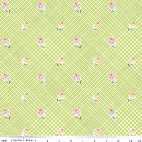 Image of the Summer Skies and Fireflies Cone Flowers Lime Quilting Cotton Fabric by Riley Blake Designs. Features grid lines on a green background. Cute Little Fabric Shop