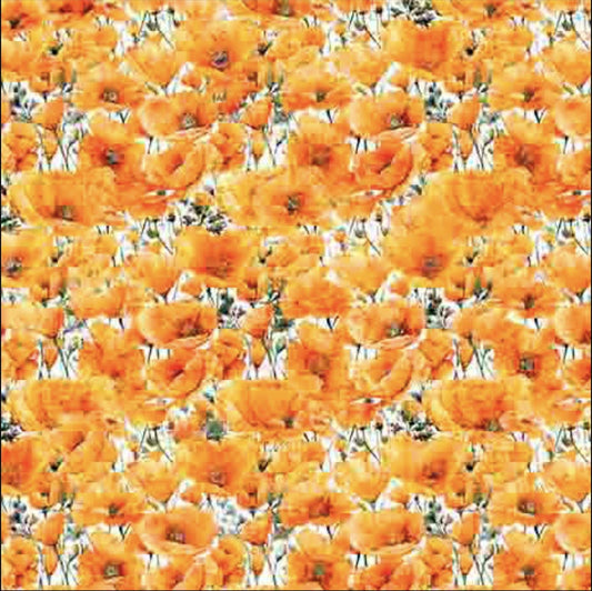 Image of the California Dreaming Poppies Orange quilting cotton fabric by QT Fabrics. Features flowers on an orange background. Cute Little Fabric Shop