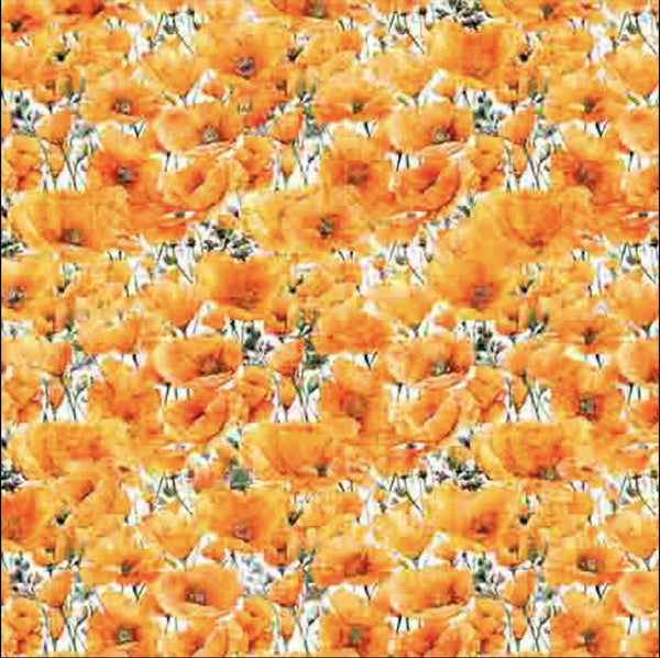 Image of the California Dreaming Poppies Orange quilting cotton fabric by QT Fabrics. Features flowers on an orange background. Cute Little Fabric Shop