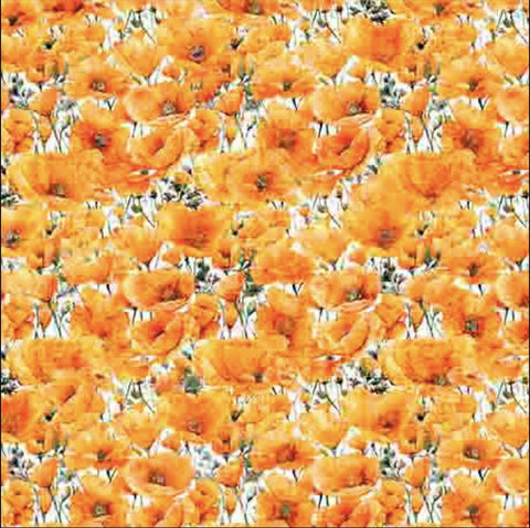 Image of the California Dreaming Poppies Orange quilting cotton fabric by QT Fabrics. Features flowers on an orange background. Cute Little Fabric Shop