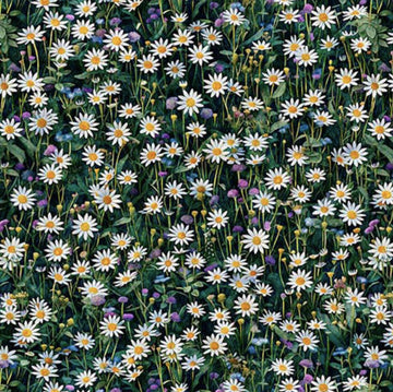 Earthly Delights Daisies 31295 Green White GZ - QT Fabrics - Nature Floral Flowers Blossoms - Quilting Cotton Fabric