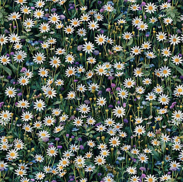 Earthly Delights Daisies 31295 Green White GZ - by QT Fabrics - Nature Floral Flowers Blossoms - Quilting Cotton Fabric