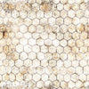 3-yard-Cut Earthly Delights Chicken Wire Cream Hexagons 108" Wideback Fabric  - 31318 QT Quilting Cotton Fabric