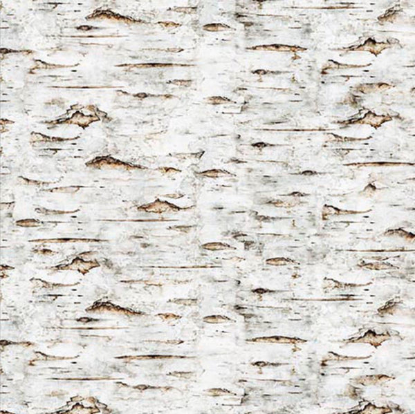 Image of the Earthly Delights Birch Bark Bark quilting cotton fabric by Dan Morris for QT Fabrics. Features bark on a white background. Cute Little Fabric Shop