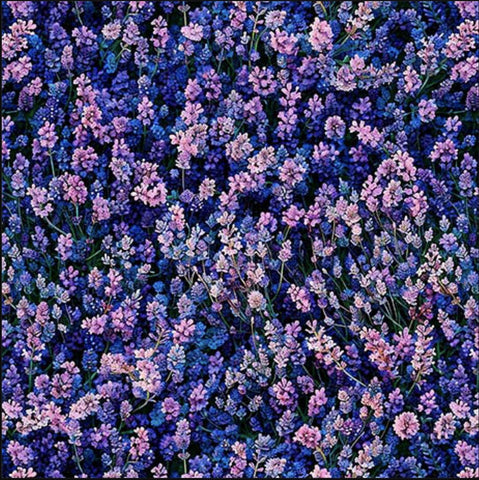 Image of the Earthly Delights Lavender Lavendar quilting cotton fabric by Dan Morris for QT Fabrics. Features flowers on a purple background. Cute Little Fabric Shop