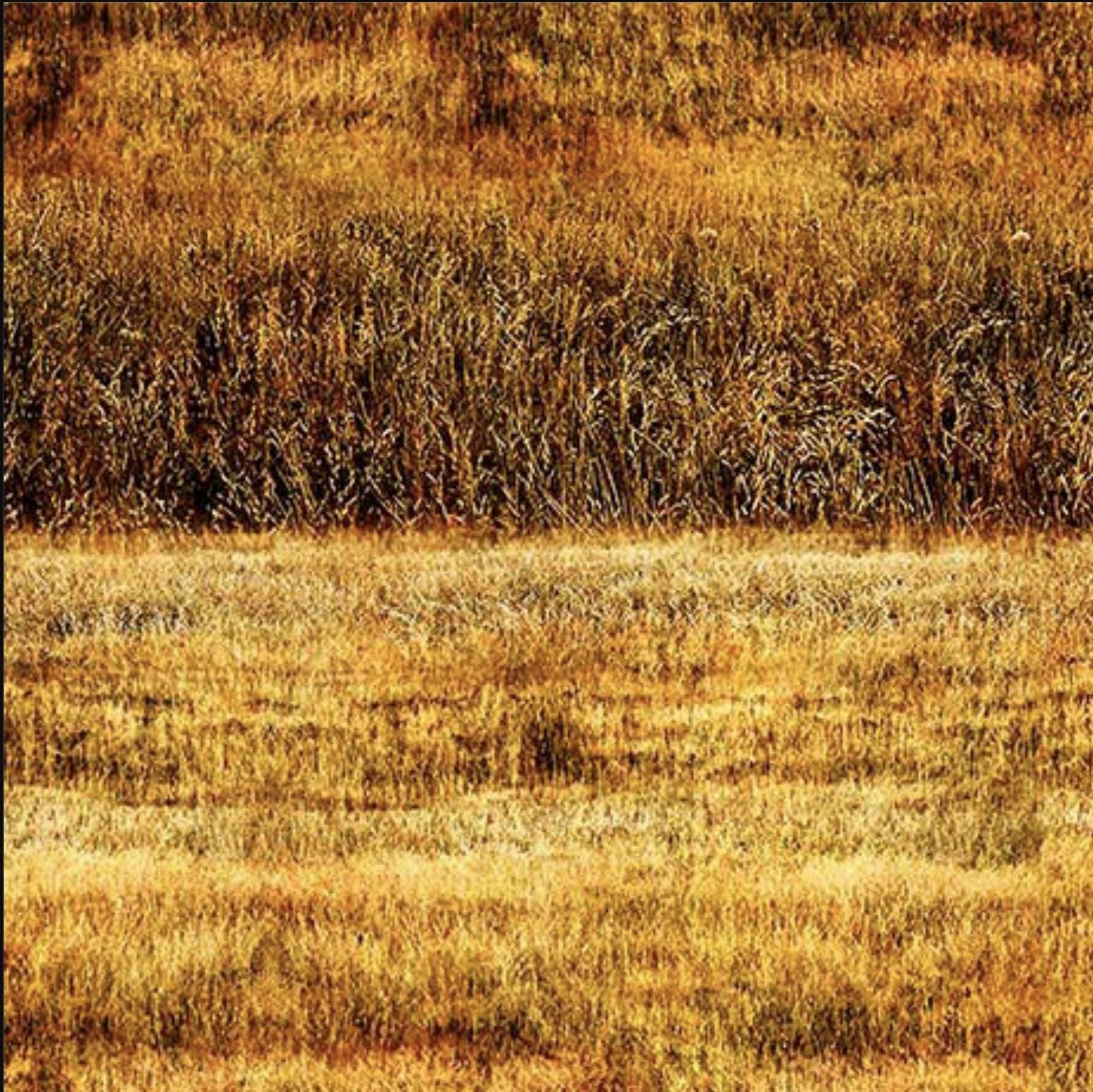 Image of the Earthly Delights Grassy Fields Gold quilting cotton fabric by Dan Morris for QT Fabrics. Features grass on a yellow background. Cute Little Fabric Shop