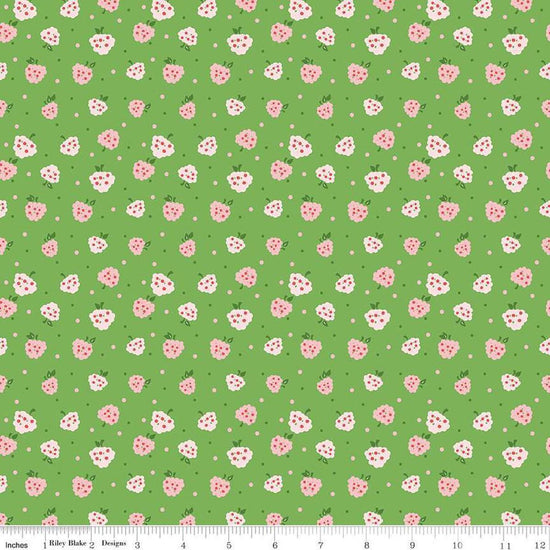 Image of the Summer Skies and Fireflies Raspberries Green Quilting Cotton Fabric by Riley Blake Designs. Features raspberries on a green background. Cute Little Fabric Shop