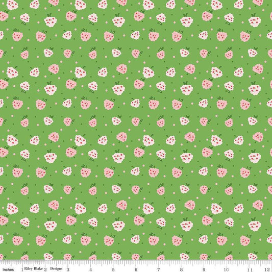 Image of the Summer Skies and Fireflies Raspberries Green Quilting Cotton Fabric by Riley Blake Designs. Features raspberries on a green background. Cute Little Fabric Shop