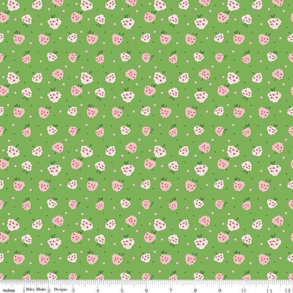 Image of the Summer Skies and Fireflies Raspberries Green Quilting Cotton Fabric by Riley Blake Designs. Features raspberries on a green background. Cute Little Fabric Shop