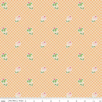 Image of the Summer Skies and Fireflies Cone Flowers Orange Quilting Cotton Fabric by Riley Blake Designs. Features grid lines on an orange background. Cute Little Fabric Shop