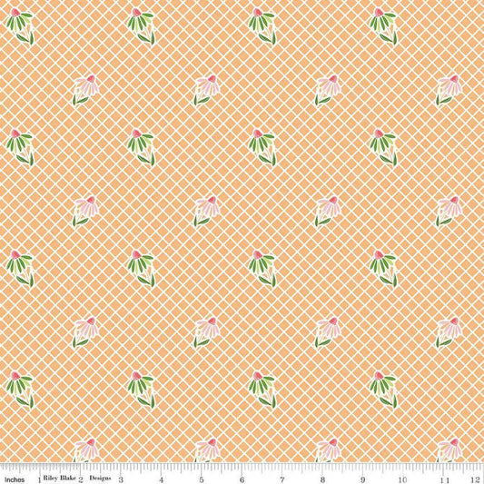 Image of the Summer Skies and Fireflies Cone Flowers Orange Quilting Cotton Fabric by Riley Blake Designs. Features grid lines on an orange background. Cute Little Fabric Shop