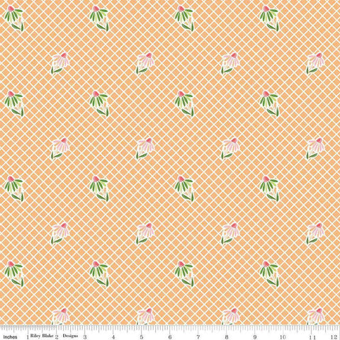 Image of the Summer Skies and Fireflies Cone Flowers Orange Quilting Cotton Fabric by Riley Blake Designs. Features grid lines on an orange background. Cute Little Fabric Shop