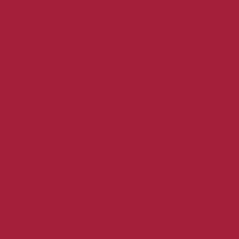 SALE Double Lush Velvet Solid LV120 Barn Red - Riley Blake Designs - Double Sided Plush - No Fray Edge