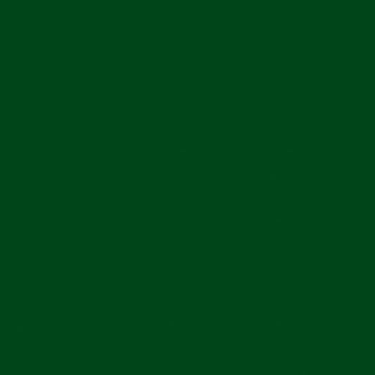 SALE Double Lush Velvet Solid LV120 Christmas Green - Riley Blake Designs - Double Sided Plush - No Fray Edge