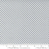 Image of the Nantucket Summer Stripes Cream Navy quilting cotton fabric by Camille Roskelley for Moda Fabrics. Features stripes on a gray background. Cute Little Fabric Shop