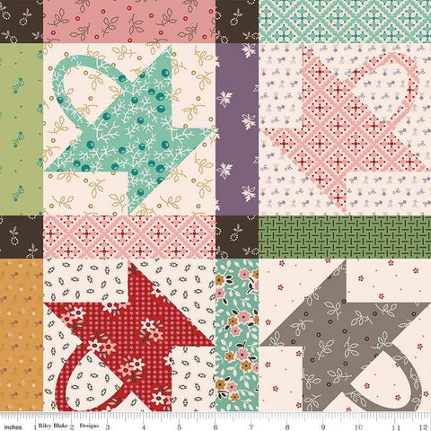 SALE LARGE CANVAS Gentler Times Home Décor Gather Multi HD16491 Multi - Riley Blake - Lori Holt - Extra Wide - Lightweight Cotton Canvas