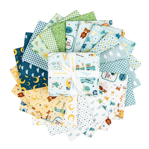 SALE Baby Boy Fat Quarter Bundle 21 pieces - Riley Blake Designs - Pre cut Precut - Nature Toys - Quilting Cotton Fabric