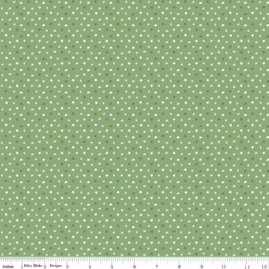 Image of the Baby Boy Stars Basil quilting cotton fabric by Lori Whitlock for Riley Blake Designs. Features stars on a green background. Cute Little Fabric Shop