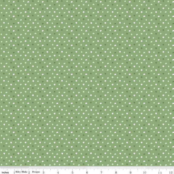 Image of the Baby Boy Stars Basil quilting cotton fabric by Lori Whitlock for Riley Blake Designs. Features stars on a green background. Cute Little Fabric Shop