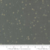Images of Foraged Found Stardust Metal quilting cotton fabric by Fancy That Design House for Moda Fabrics. Features starts on a gray background. Cute Little Fabric Shop