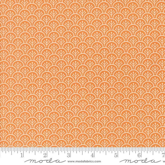 Image of the Agatha Road Scallops Pumpkins quilting cotton fabric by Moda Fabrics. Features scallops on an orange background. Cute Little Fabric Shop