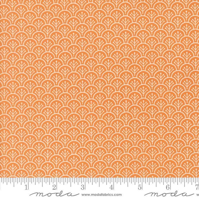 Image of the Agatha Road Scallops Pumpkins quilting cotton fabric by Moda Fabrics. Features scallops on an orange background. Cute Little Fabric Shop